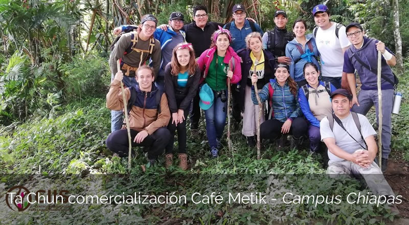 Ta´Chun comercialización Café Metik