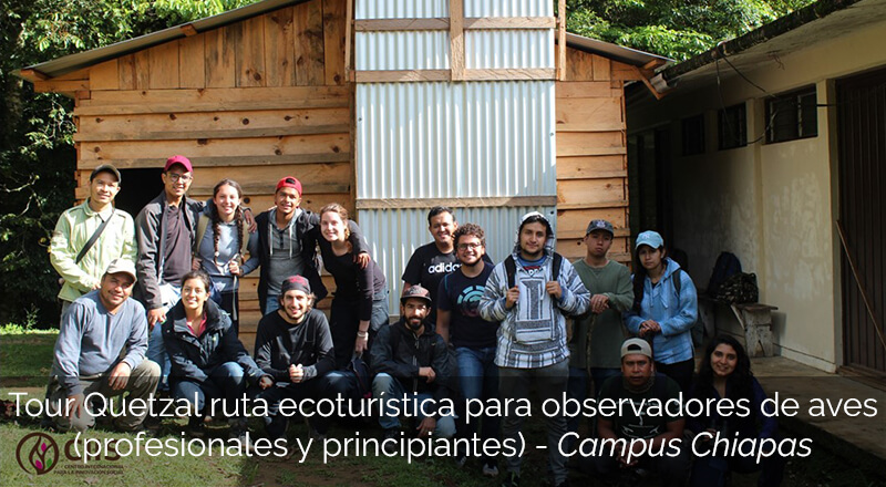 Tour Quetzal ruta ecoturística para observadores de aves (profesionales y principiantes)