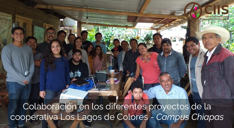 Colaboración en los diferentes proyectos de la cooperativa Los Lagos de Colores