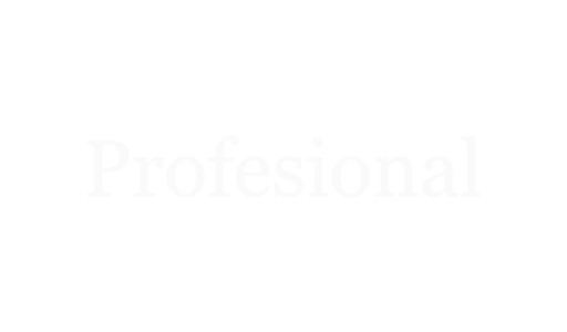 Profesional