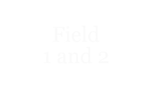 Fields 1 and 2