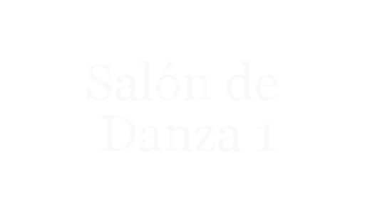 Salón de Danza