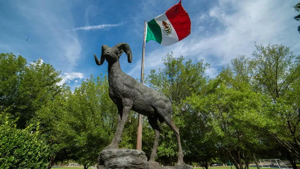 Campus Saltillo