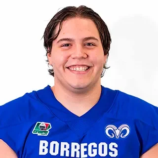 Sebastián Gustavo Diaz Gallo