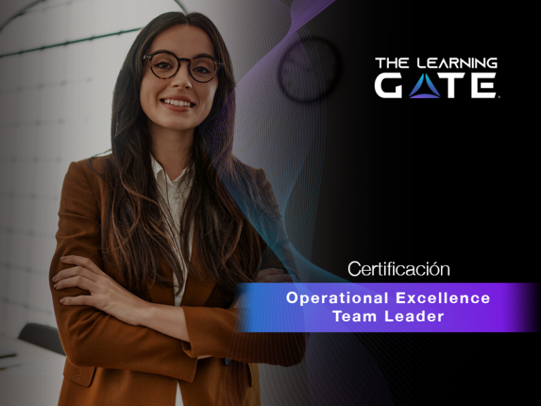Operational Excellence Team Leader