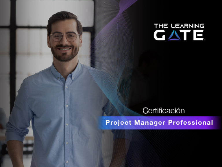 Project Manager Professional