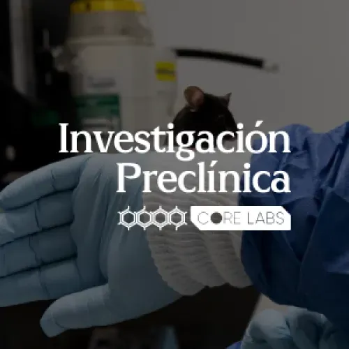 Investigacion preclinica