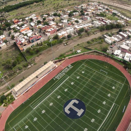 Estadio Borregos