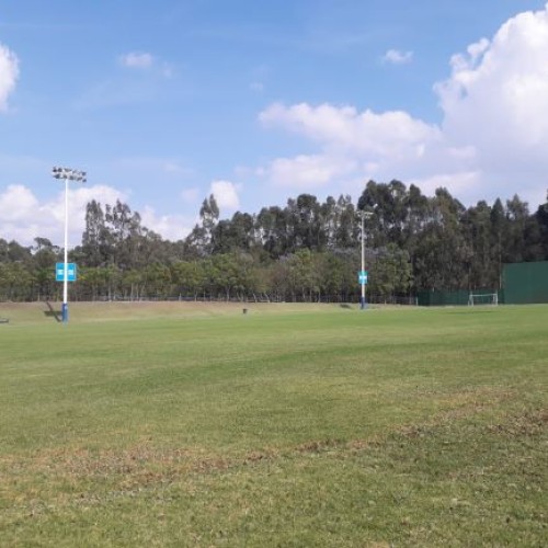 Cancha de Pasto Natural 