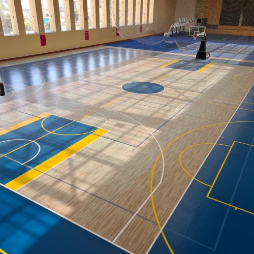 Canchas de Básquetbol