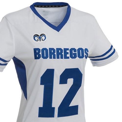 Jersey Borregos Tec