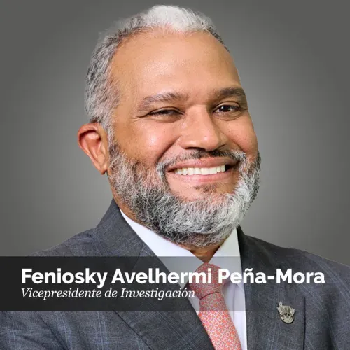 Feniosky Avelhermi Peña-Mora 