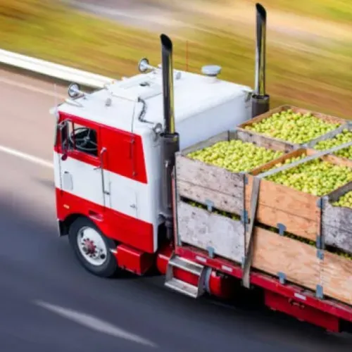 Retos de la logística alimentaria