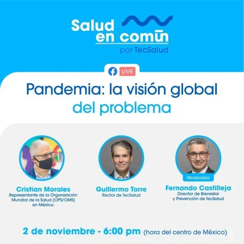 Pandemia: la visión global del problema flyer