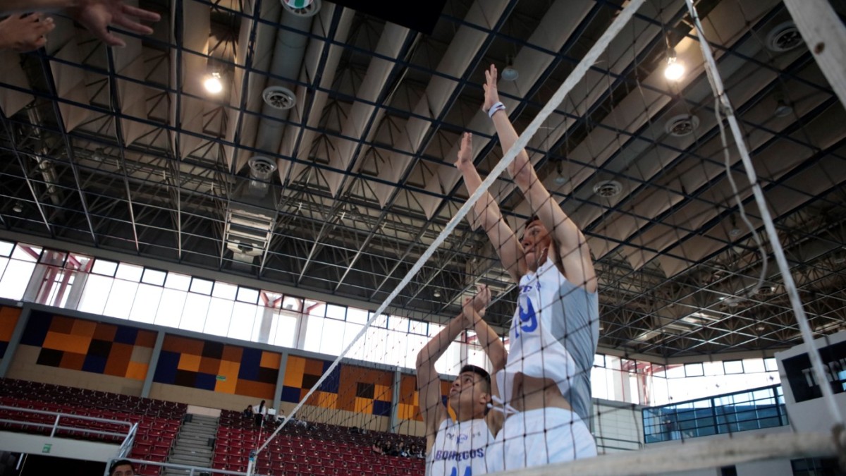 Canchas de Voleibol Cerradas