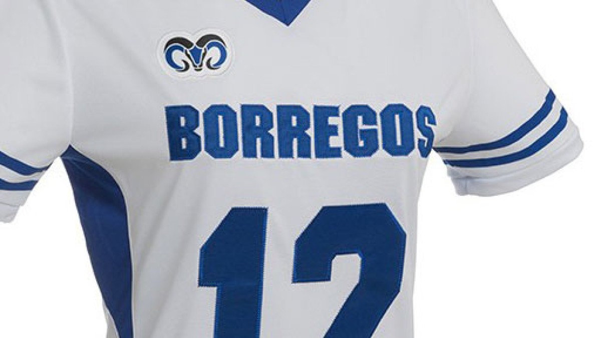 Jersey Borregos Tec